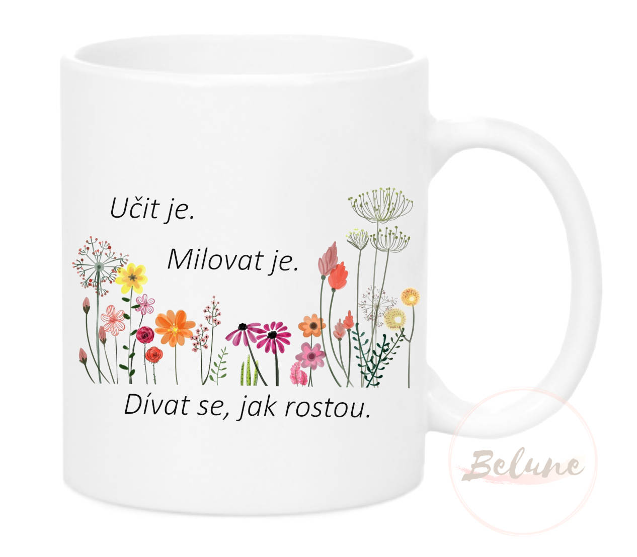 Pro paní učitelky, kuchařky a uklízečky