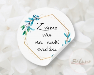 Zveme vás na naši svatbu - barevné