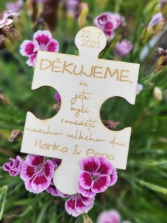 Dílek puzzle