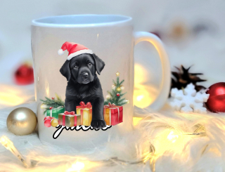 Labrador hnědý