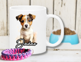 Jack russell teriér