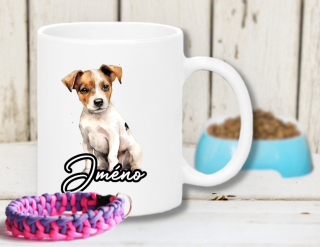 Jack russell teriér2