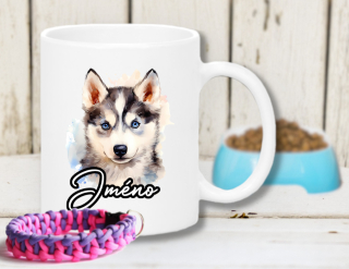 Sibiřský husky