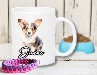 Welsh corgi cardigan
