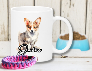 Welsh corgi pembroke