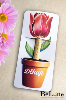 Propiska se záložkou pro paní ředitelku - tulipán