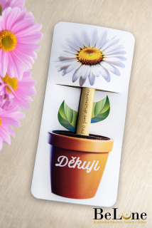 Propiska se záložkou pro paní družinářku - kopretina