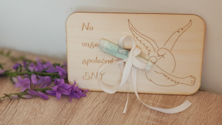 Na společné sny - hrdličky